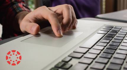 Exploring the Educational Powerhouse